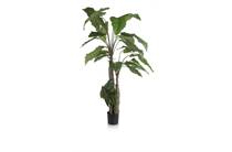 Coco Maison COCO MAISON accessoire Alocasia Giant Tree H180cm kunstplant